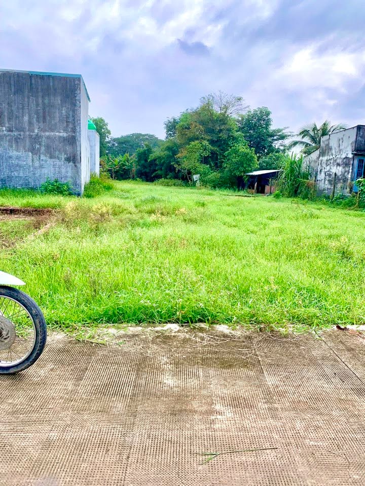 Đất thổ cư mặt tiền đường bê tông 5m tại xã Mỹ Hạnh, 155m² giá 1.1 tỷ - Cơ hội đầu tư hấp dẫn!