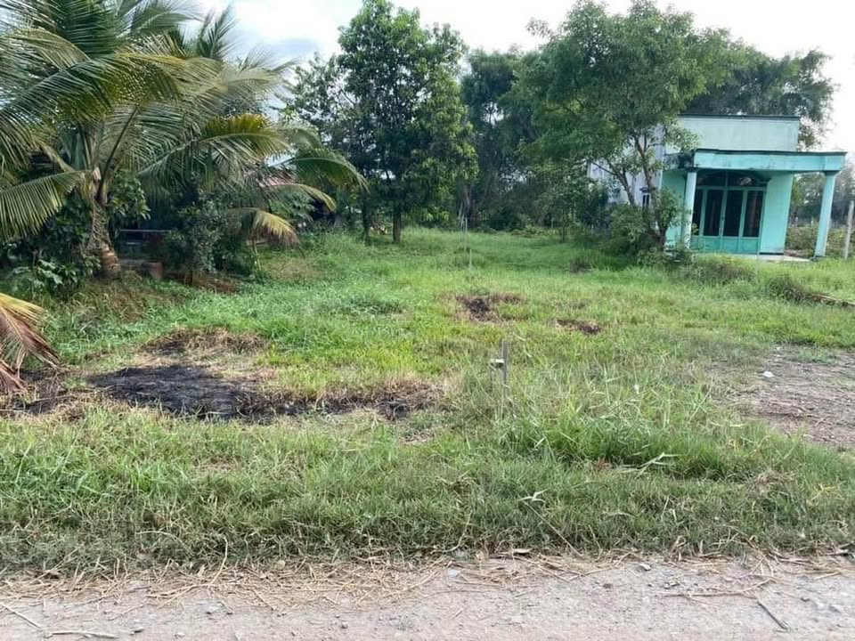 Đất nền mặt tiền đường Nguyễn Thị Chính, Hòa Khánh Nam 215m² giá 1.25 tỷ - Pháp lý rõ ràng!