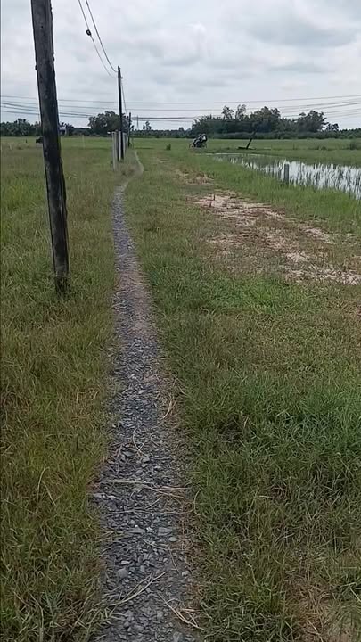 Đất nền 364.000m² tại xã Hòa Bắc, huyện Đức Huệ - Giá tốt, sổ hồng riêng!