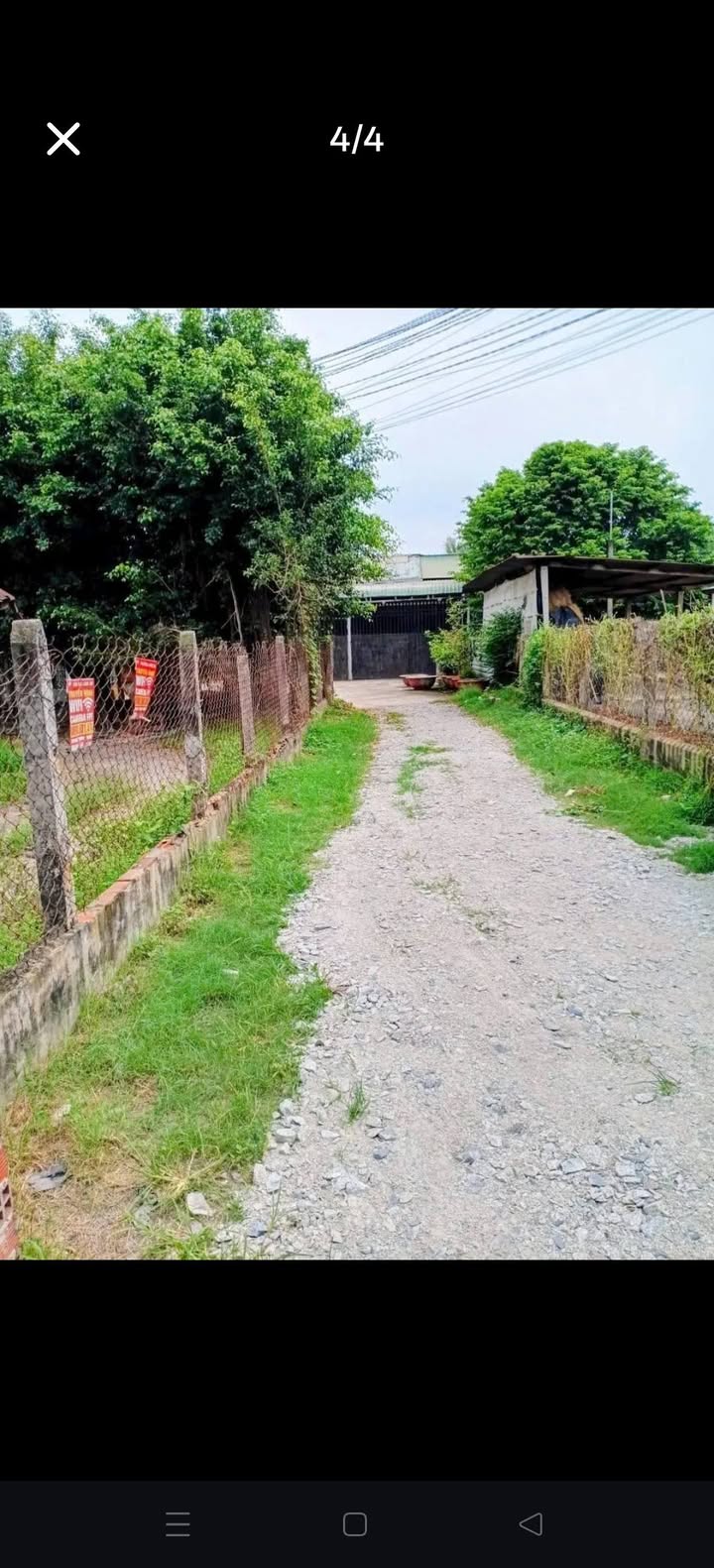 Đất thổ cư Rừng Sến 738m² giá 2.6 tỷ - Đầu tư sinh lời hấp dẫn!