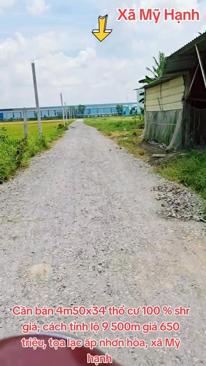 Đất nền xã Mỹ Hạnh, Đức Hòa 153m² giá 650 triệu - Sổ đỏ chính chủ!