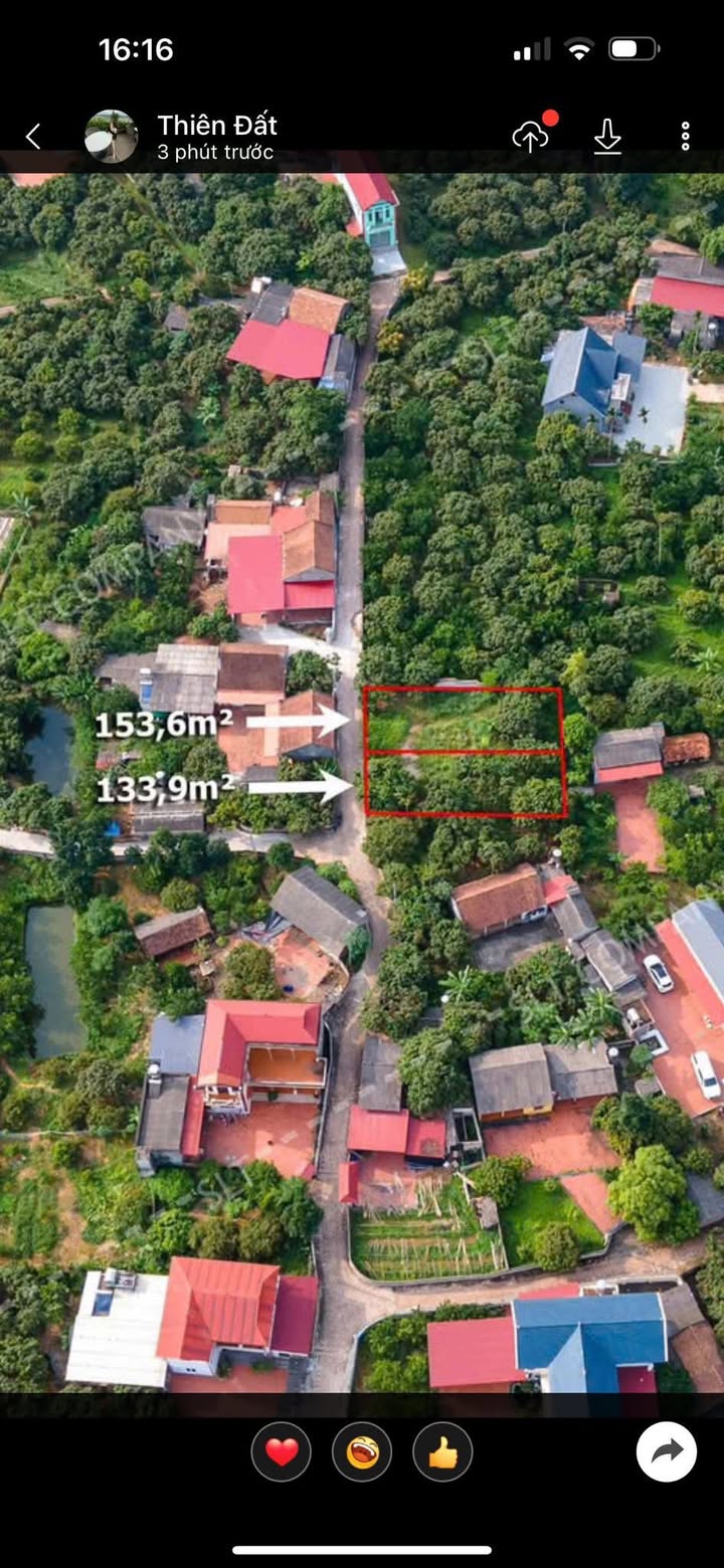 Đất Phúc Hòa, Tân Yên 140m² giá chỉ 100 triệu - Đầu tư sinh lời ngay!