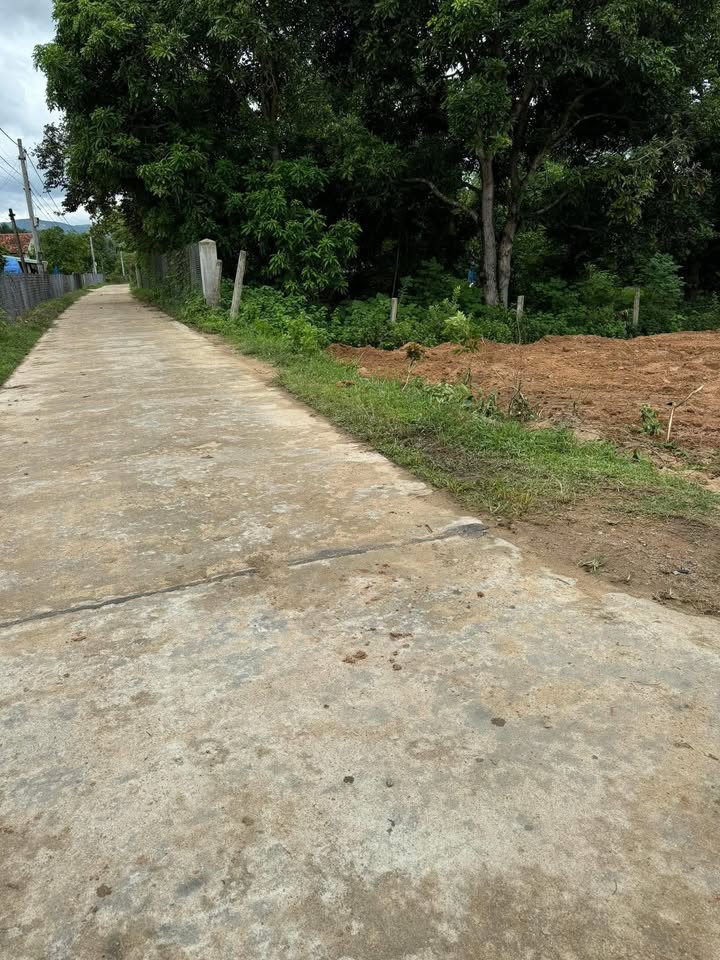 Đất nền góc đẹp tại Bình Thành, Tây Sơn 340m² - Đầu tư sinh lời lý tưởng!