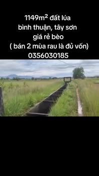 Đất lúa 1149m² tại Bình Thuận, Tây Sơn - Giá thỏa thuận hấp dẫn!