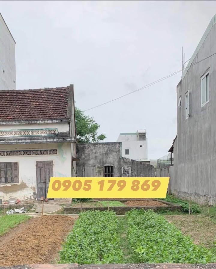 Đất thổ cư Phước Thuận, Tuy Phước 123m² giá 990 triệu - Sổ hồng chính chủ, thương lượng ngay!