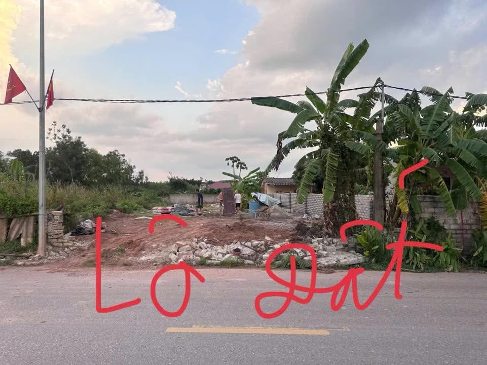 Đất mặt tiền Tân Thanh Lạng Giang 600m² giá 4.9 tỷ - Đầu tư sinh lời ngay lập tức!