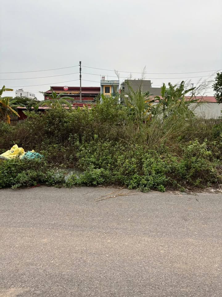 Đất nền Dĩnh Trì, TP Bắc Giang 85m² giá 2.85 tỷ - Lô khe thoáng, view đẹp!