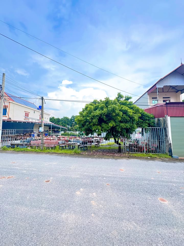 Đất thổ cư Trại Hai, Yên Sơn, Lục Nam 89m² giá 4,xx tỷ - Cơ hội đầu tư sinh lời!