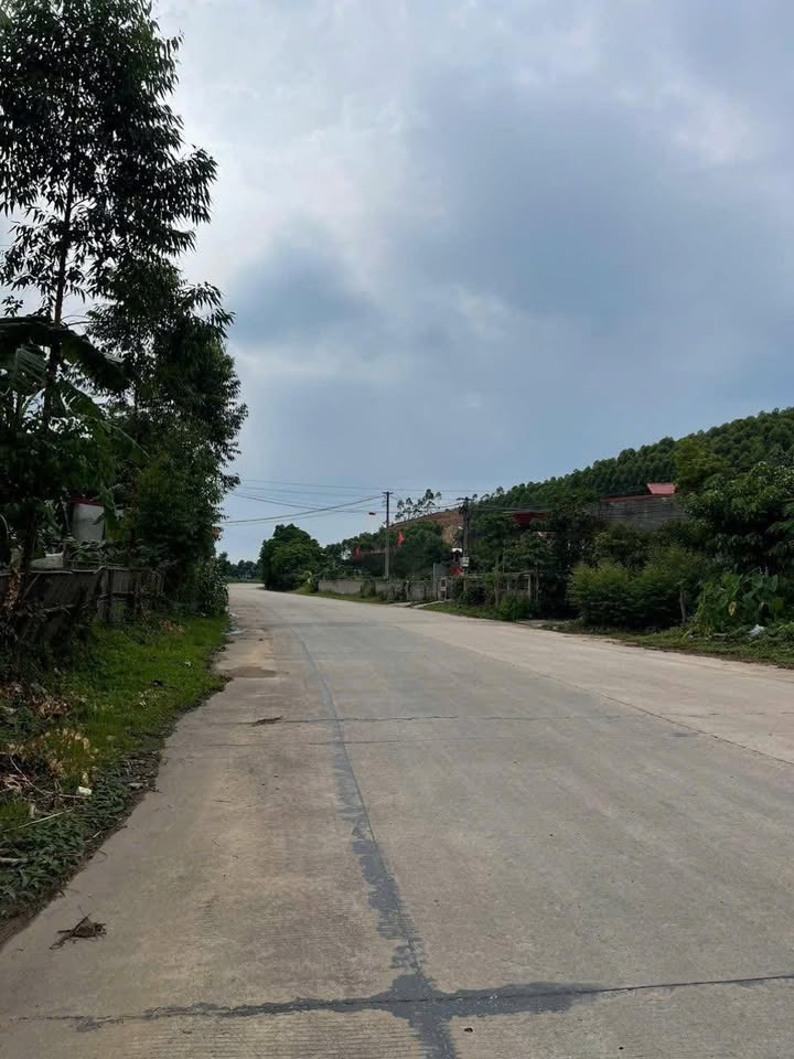 Đất mặt đường TL293 Lục Nam 143m² chỉ 900 triệu - Cơ hội đầu tư tuyệt vời!