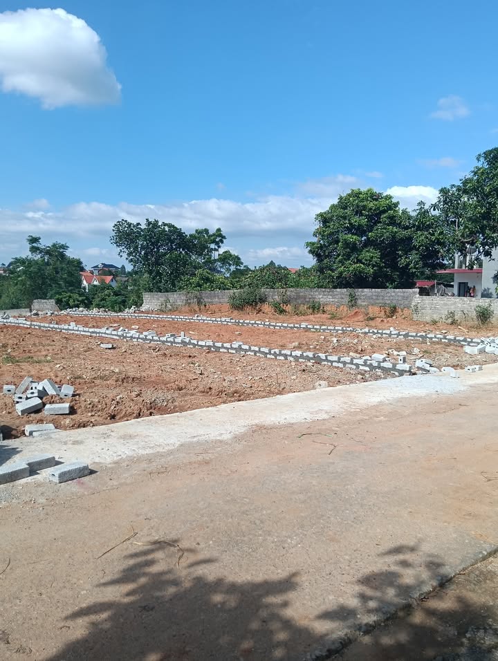 Đất nền 187m² tại Bình An - Lục Nam - Giá chỉ 600 triệu - Đầu tư sinh lời!