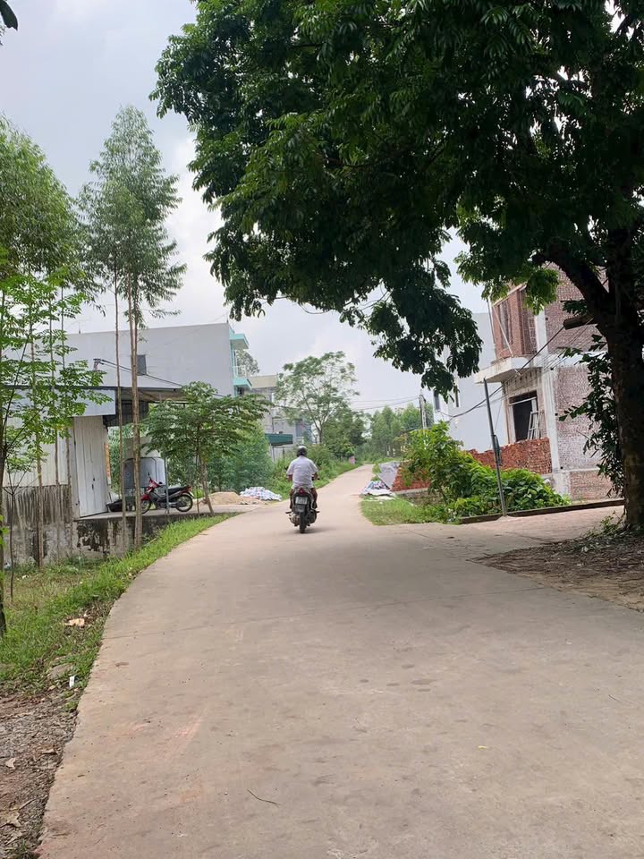 Đất đấu giá Quế Nham Tân Yên 100m² giá thỏa thuận - Vị trí đắc địa, tiện ích phong phú!