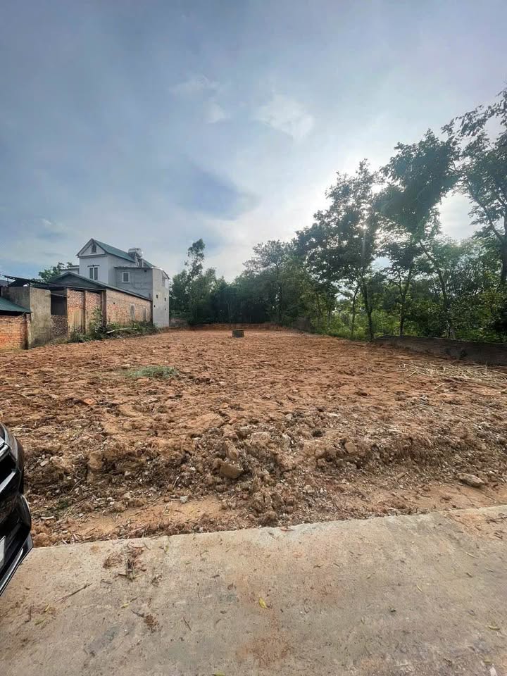 Đất thổ cư Duy Phiên, Tam Dương 855m² giá chỉ 3 tỷ - Cơ hội đầu tư hấp dẫn!