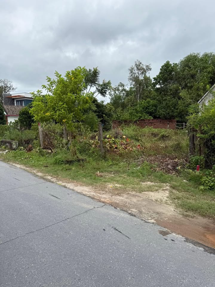 Đất mặt tiền ĐT 613 Thăng An 220m² giá 800 triệu - Pháp lý rõ ràng!