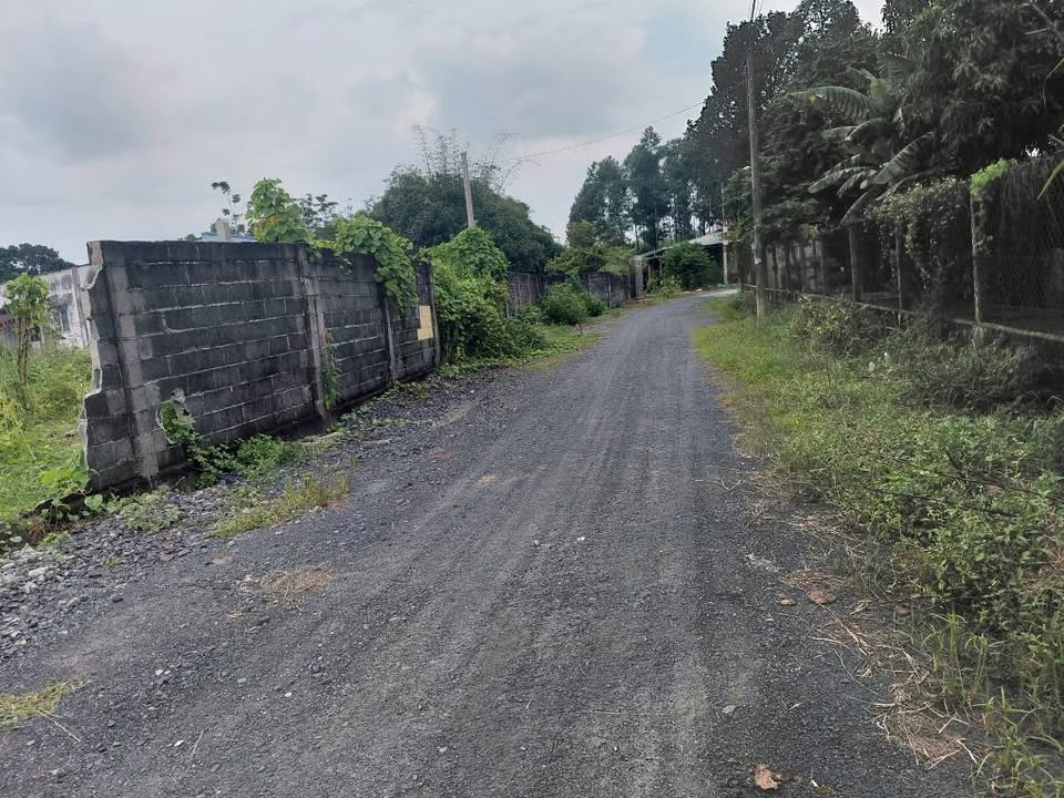 Đất nền Phước Vĩnh An Củ Chi 125m² giá 1.8 tỷ - Đầu tư sinh lời ngay!