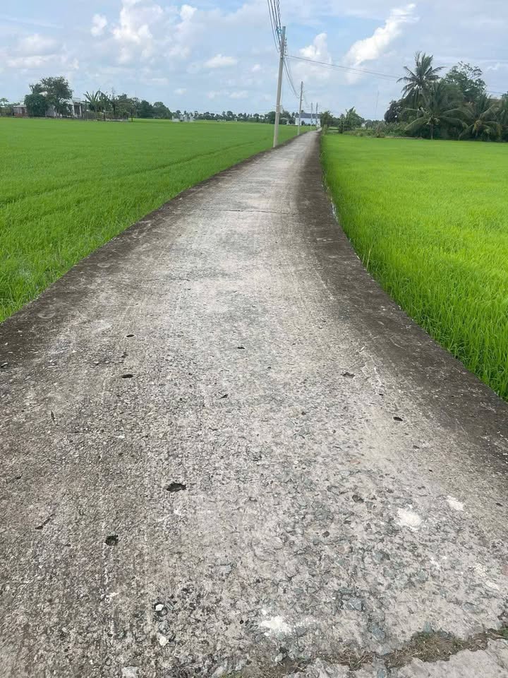 Đất nông nghiệp 4182m² tại xã Đức Tân, Tân Trụ, Long An - Giá chỉ 2.3 tỷ!