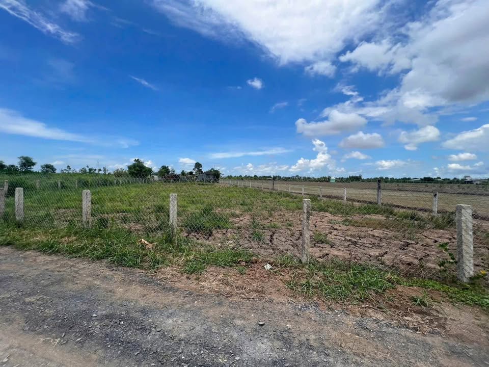 Đất nền thổ cư 350m² mặt tiền đường đá - Chỉ 600 triệu tại Gò Công Đông!