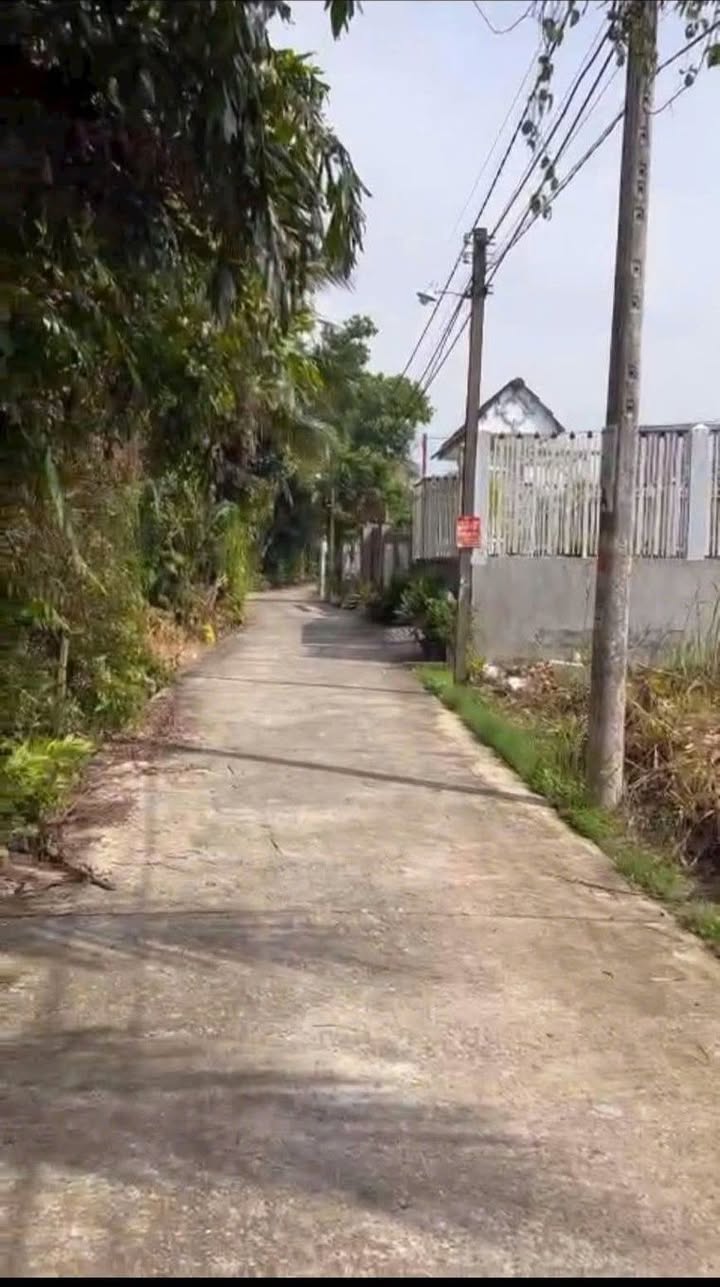 Đất vườn 1000m² xã Bình Tâm, Tân An, Long An giá 2.2 tỷ - Cơ hội đầu tư tuyệt vời!