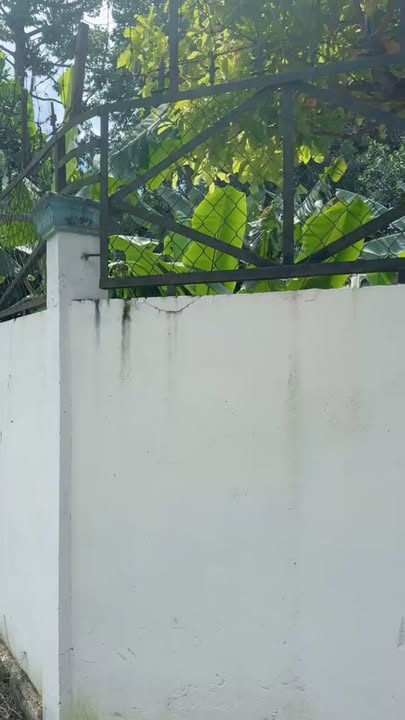 Bán Nhà Vườn Phú Hòa Đông, Củ Chi 840m² giá 5.5 tỷ - Gần chợ, thuận tiện đi lại!