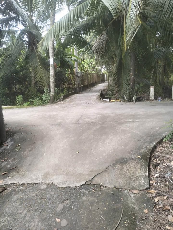 Đất nền thổ cư 150m² tại Khu phố Phú An, Cai Lậy - Giá chỉ 350 triệu!