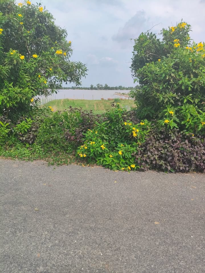 Đất nền mặt tiền huyện lộ 65, Phú Cường, 495m² chỉ 1.35 tỷ - Cơ hội đầu tư tốt!