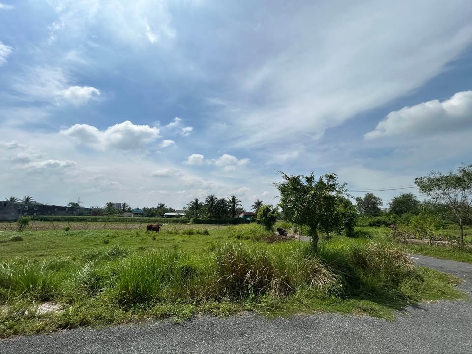 Đất nền Tân Hương 200m² giá 1.9 tỷ - Đầu tư sinh lời bền vững!