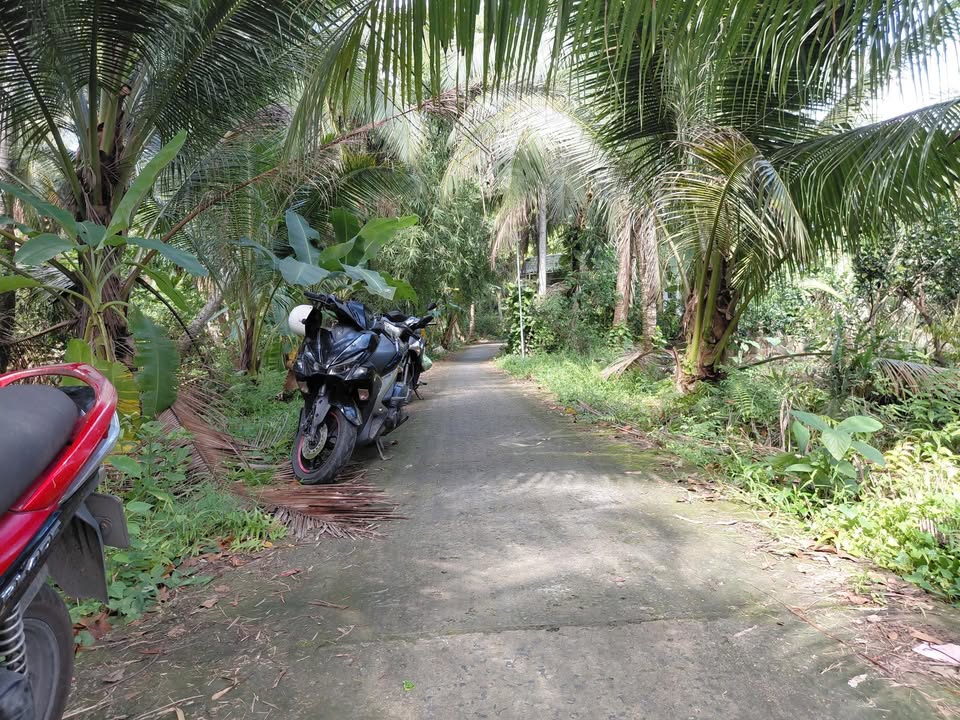 Đất nền ấp Bình Phú, xã Bình Trưng 150m² giá chỉ 200 triệu - Đầu tư sinh lời lý tưởng!