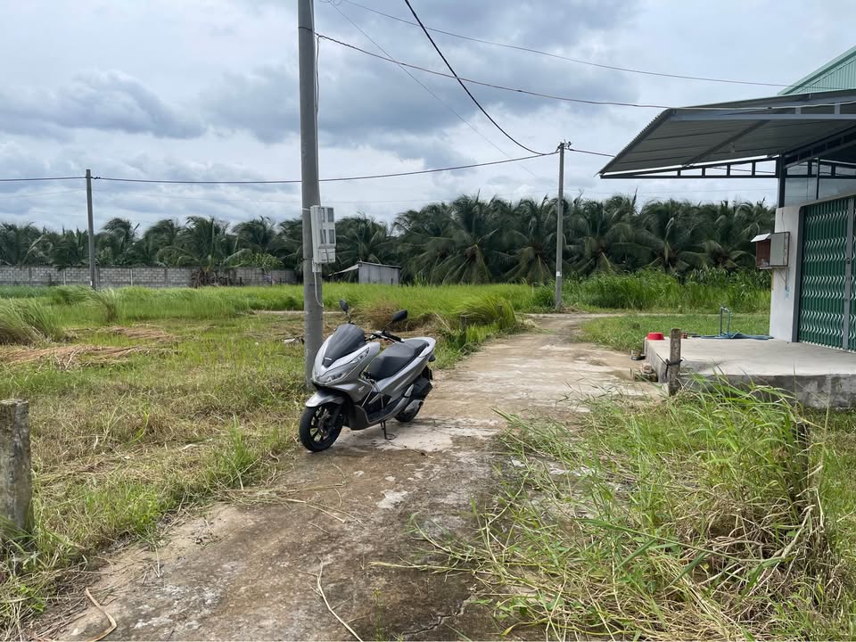 Đất thổ cư 100m² tại thị trấn Tân Hiệp, Tiền Giang giá chỉ 550 triệu - Pháp lý rõ ràng!