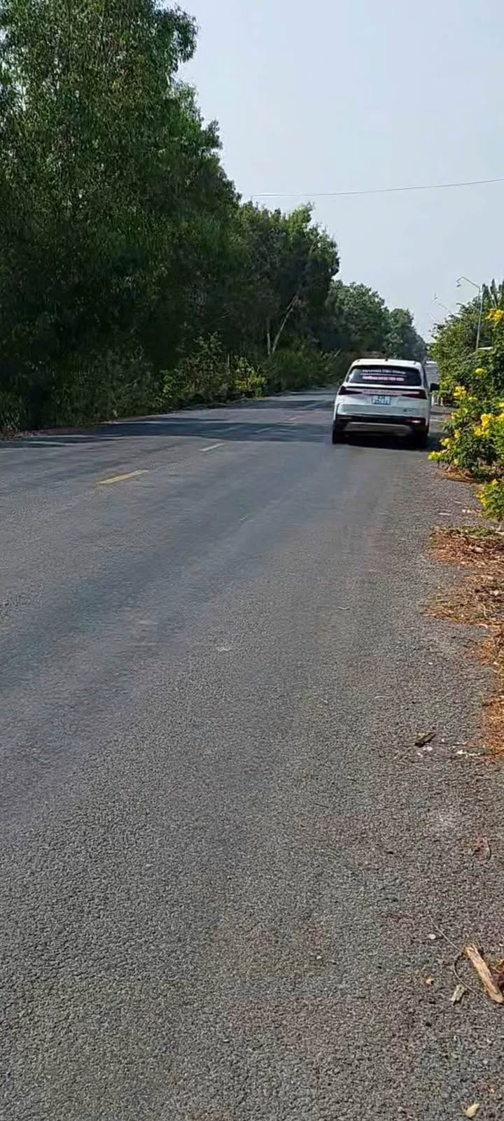 Đất nông nghiệp 3ha mặt tiền tỉnh lộ 867 - Thích hợp đầu tư lâu dài!