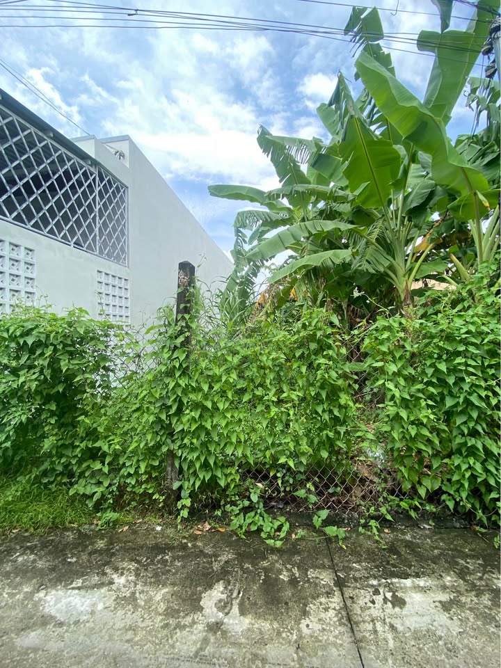 Đất nền phường 5 TP Mỹ Tho 150m² giá 1.6 tỷ - Khu dân cư đông đúc, tiện ích đầy đủ!