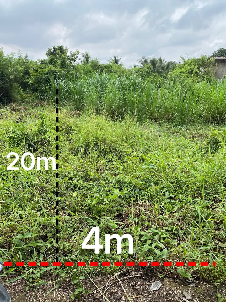 Đất nền Mỹ Phong, Mỹ Tho 80m² giá 480 triệu - Cơ hội đầu tư hấp dẫn!