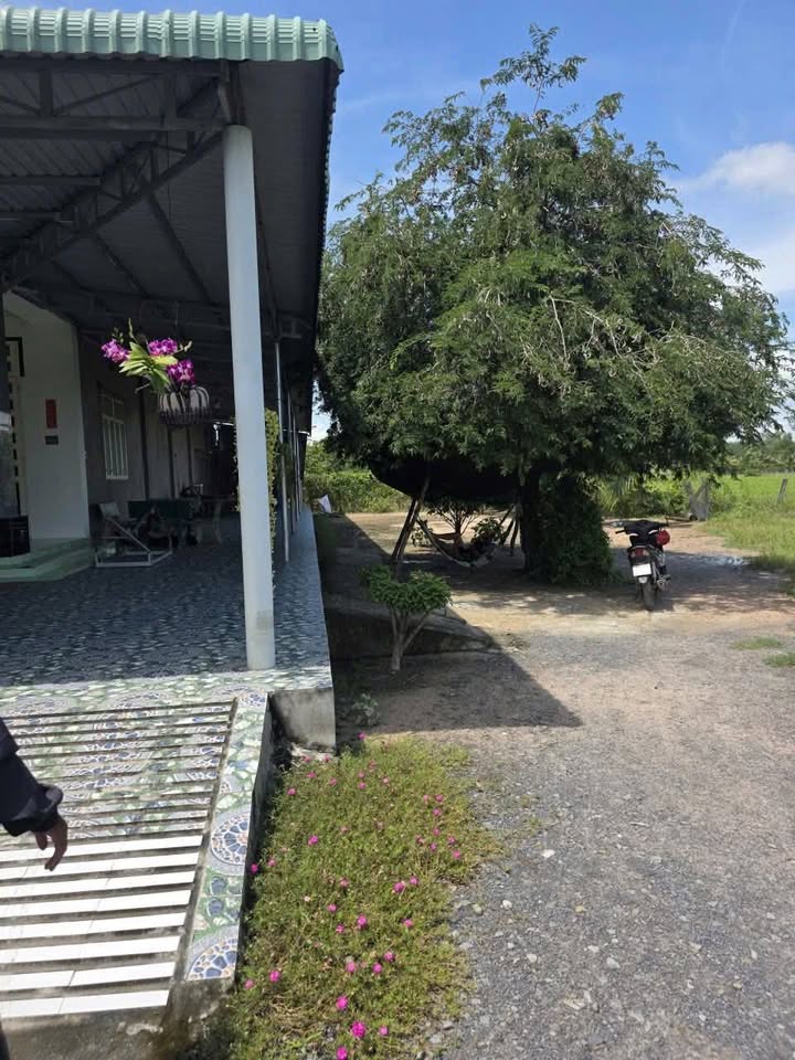 Đất thổ cư 250m² xã Long Thuận, Bến Cầu chỉ 200 triệu - Cơ hội đầu tư tuyệt vời!