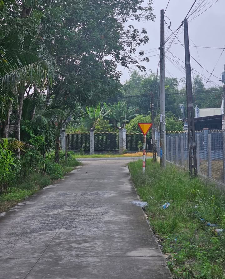 Đất mặt tiền Bê Tông Thanh Hùng 125m² giá 125 triệu - Cơ hội đầu tư tốt!