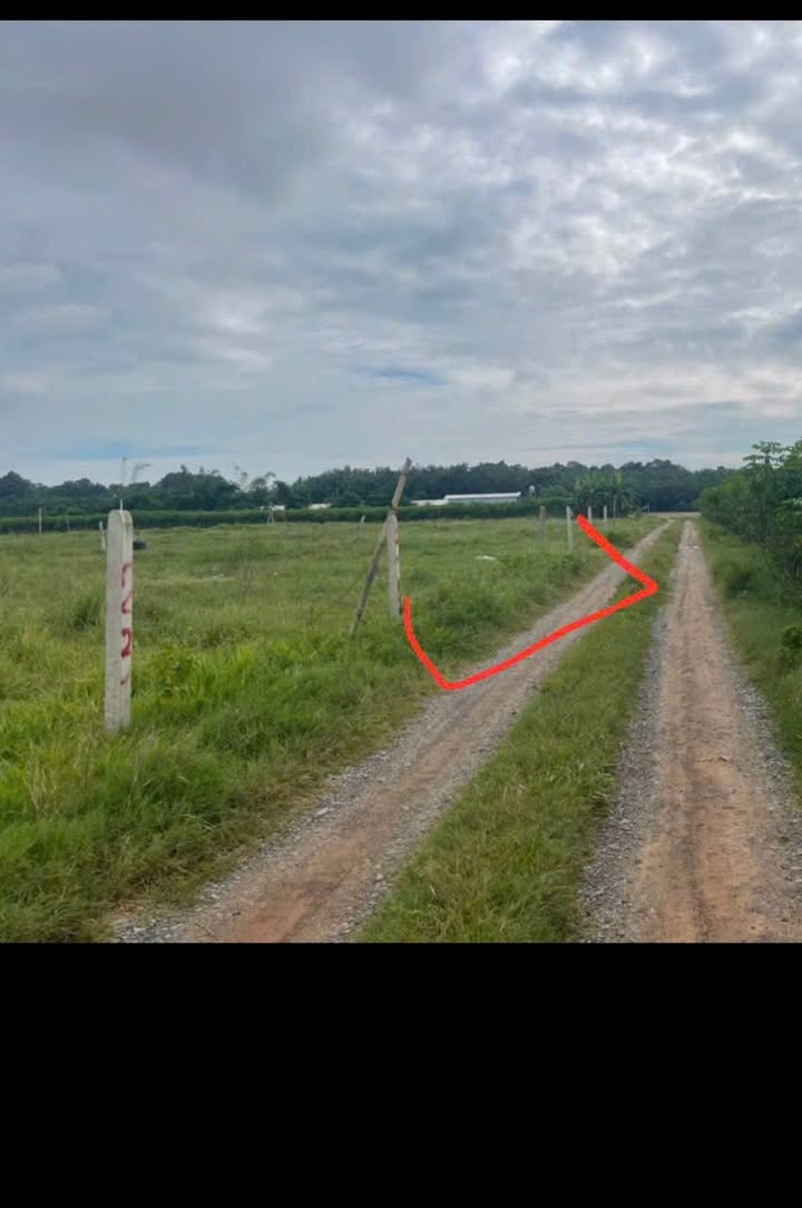 Đất nền Phước Ninh Dương Minh Châu 150m² giá 200 triệu - Cơ hội đầu tư tuyệt vời!