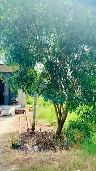 Đất hẻm 21 Ngô Quyền, Hòa Thành, Tây Ninh 168m² giá 132 triệu - Đầu tư sinh lời lý tưởng!