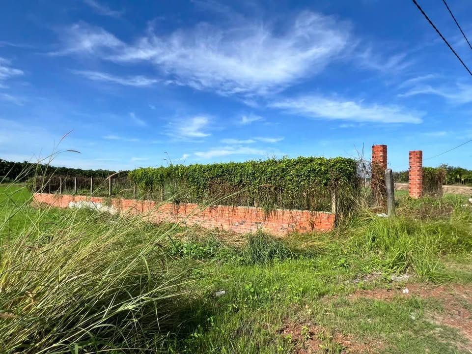 Đất thổ cư 259,1m² tại Ấp Thạnh Nghĩa, Tây Ninh - Giá chỉ 720 triệu!