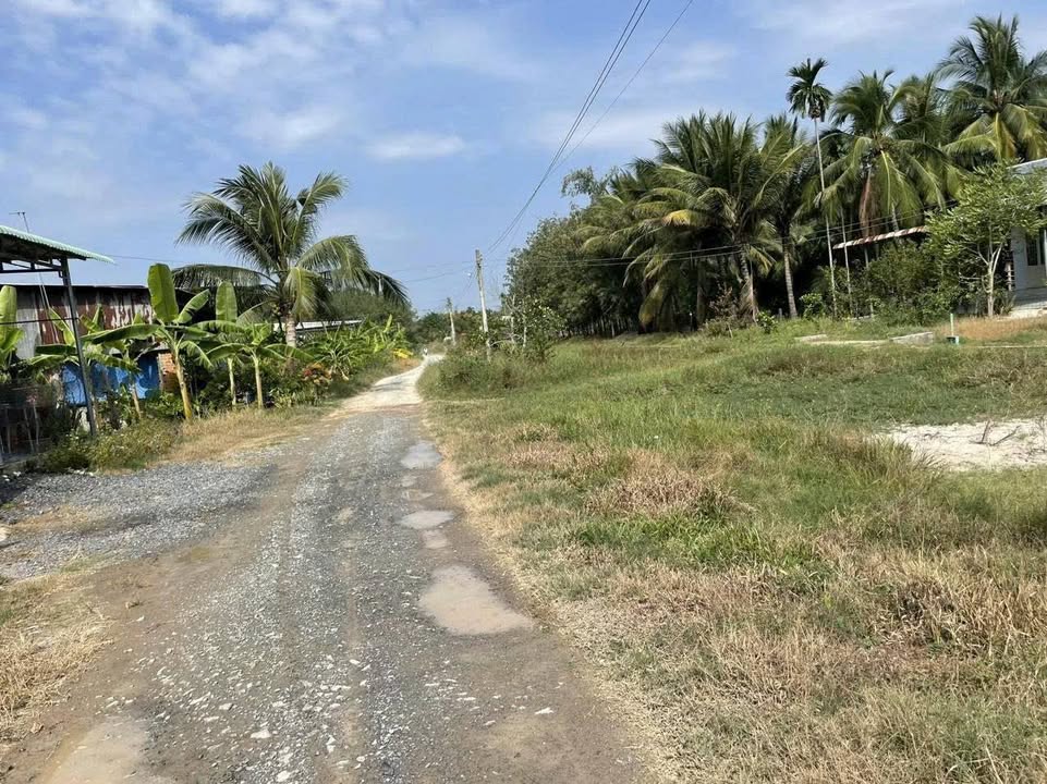 Đất nền Bàu Đồn, Gò Dầu, Tây Ninh 140m² - Giá tốt chỉ 380 triệu!