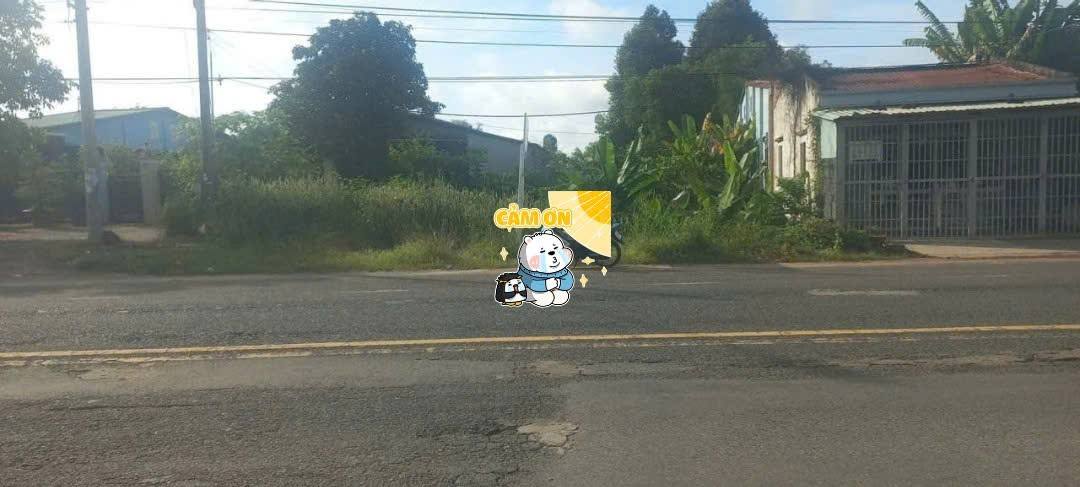 Đất mặt tiền đường Bời Lời, Phường Ninh Thạnh, 154m² - Giá cực tốt chỉ 330 triệu!