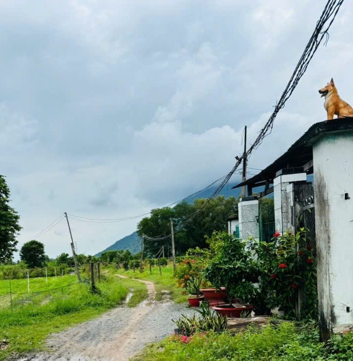 Đất nền xã Phan Dương Minh Châu 150m² giá 250 triệu - Sổ hồng đầy đủ, công chứng ngay!