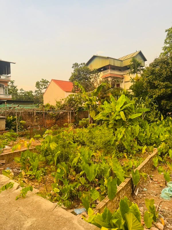 Đất vàng Lệ Chi, Gia Lâm 42m² giá 2.6 tỷ - Cơ hội đầu tư hiếm có!