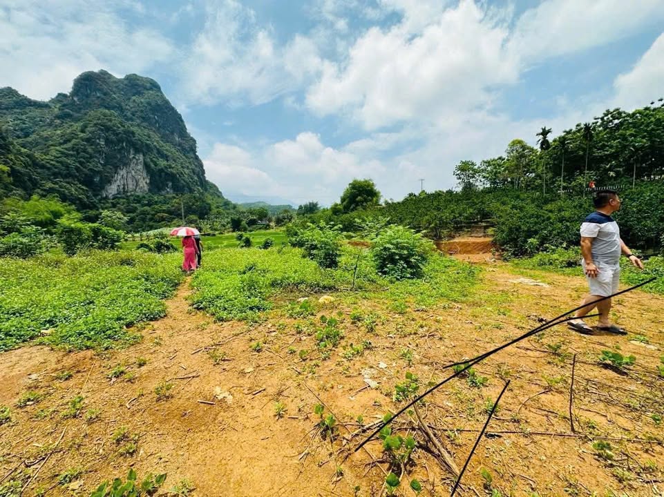 Đất nền đẹp Kim Bôi, Hòa Bình 2321m² giá thỏa thuận - Đầu tư sinh lời cao!