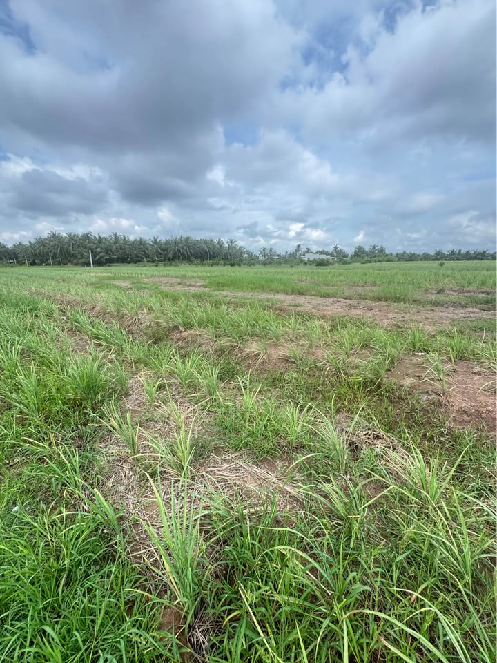 Đất vườn nghỉ dưỡng xã Tân Phú 500m² giá 210 triệu - Cơ hội đầu tư tuyệt vời!