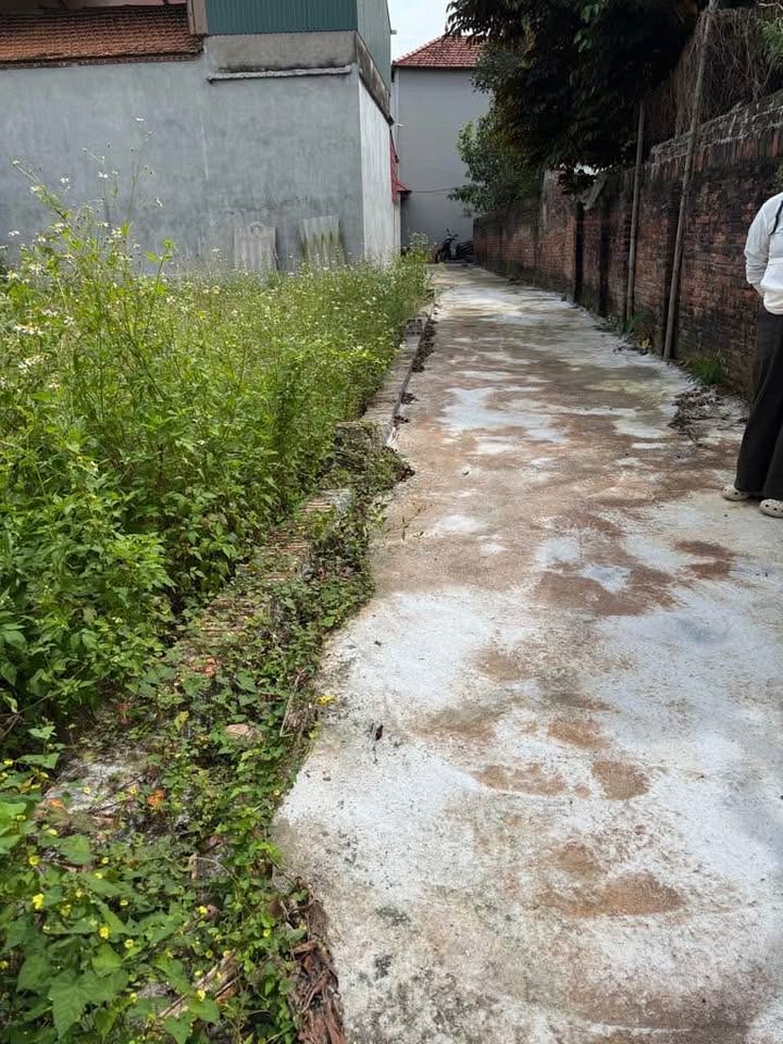 Đất nền Tự Môn, Dương Quang, Thuận Thành 55m² giá 2.5 tỷ - Đầu tư sinh lời hấp dẫn!