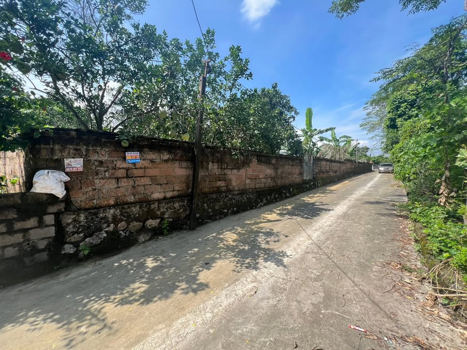 Đất nền 270m² tại Gò Cáo, Chương Mỹ, Hà Nội - Giá chỉ 2.7 tỷ, ô tô vào tận nơi!