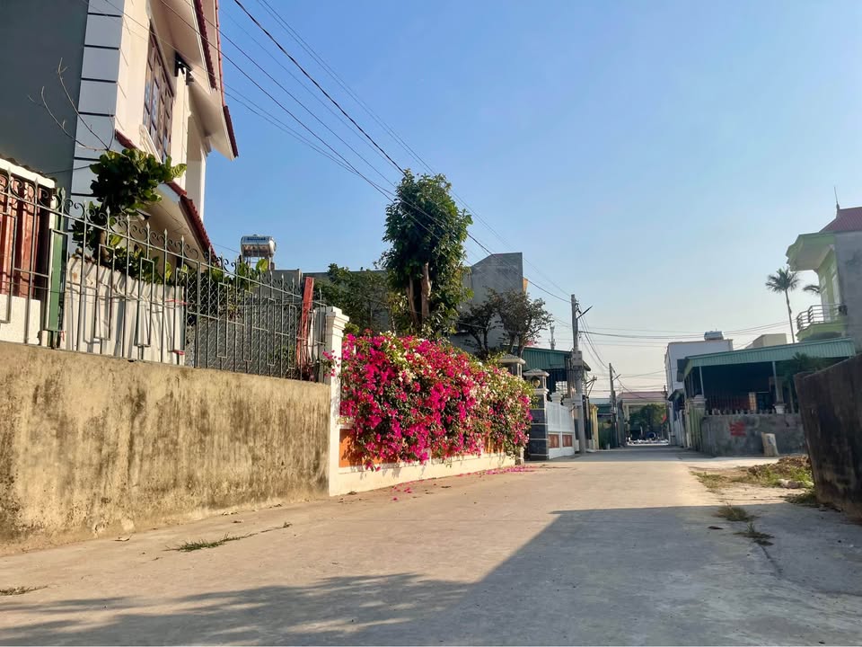 Đất góc 2 mặt tiền tại Thống Nhất, Minh Tân, Kiến Thụy 114m² giá 1.8 tỷ - Tiềm năng đầu tư lớn!