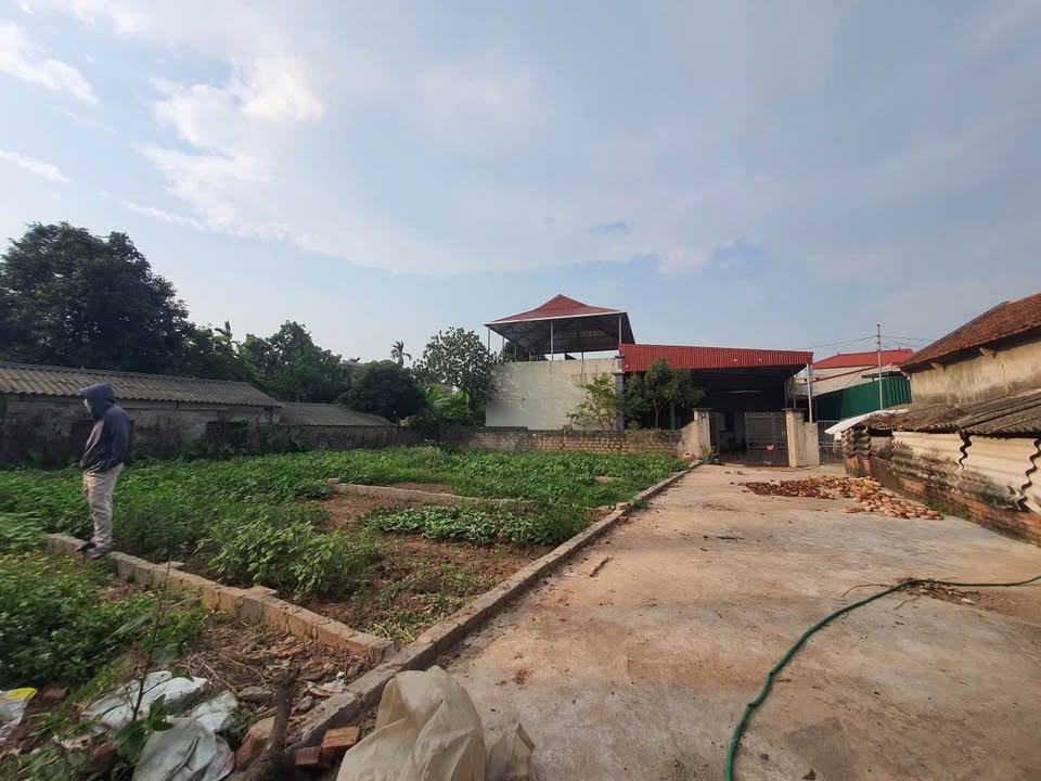 Đất nền Đại Hưng, Mỹ Đức 62m² giá 1 tỷ - Sổ đỏ chính chủ, ô tô vào tận nơi!