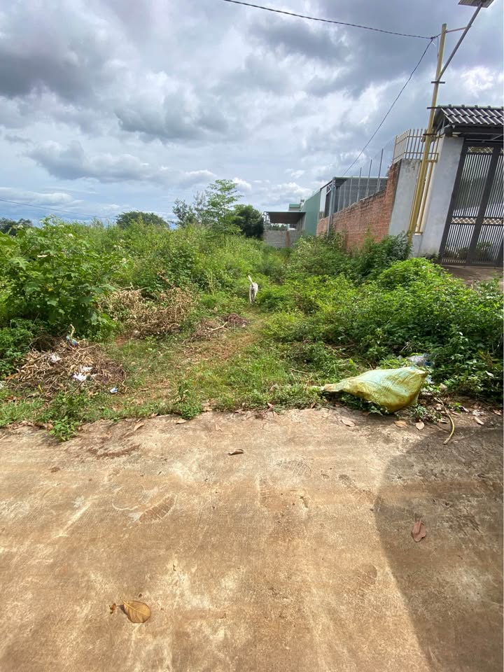 Đất Hẻm Bùi Dự - Pleiku 150m² giá 1 tỷ 1xx triệu - Sổ hồng chính chủ