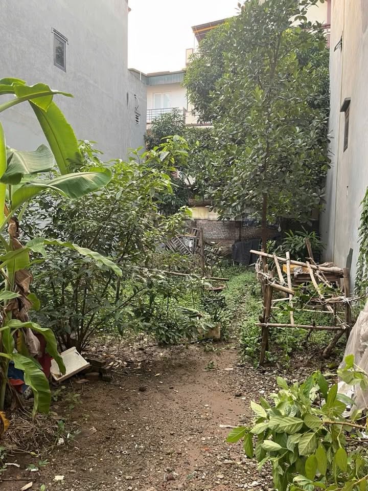 Đất Phú Thượng Tây Hồ 36m² giá 5 tỷ - Vị trí đắc địa, sổ đỏ chính chủ!