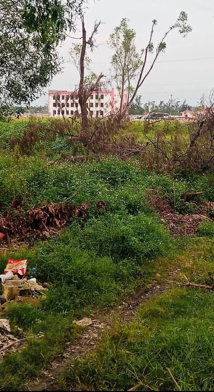 Đất Nghi Long 100m² - Gần trường lái, giá thỏa thuận, vị trí đẹp!