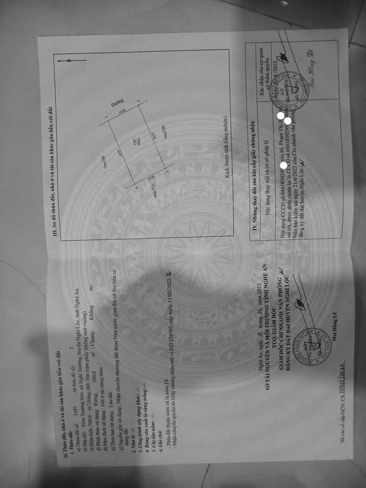 Đất ở 100% Thịnh Trường, Nghi Lộc 200m² - Giá tốt, chính chủ bán!