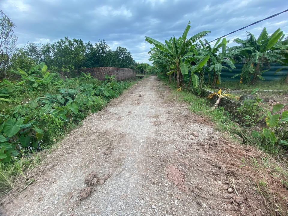 Đất vườn Sài Sơn Quốc Oai 408m² giá 1.224 tỷ - Cơ hội đầu tư hiếm có!